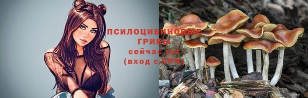 шишки Вязьма