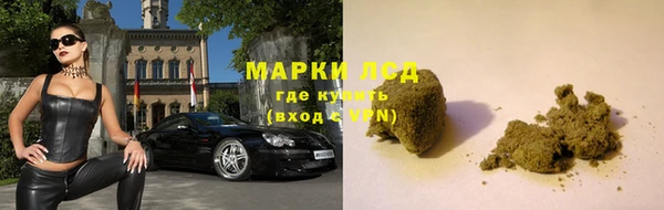 шишки Вязники