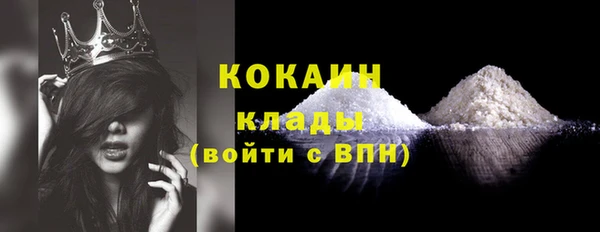 шишки Вязники