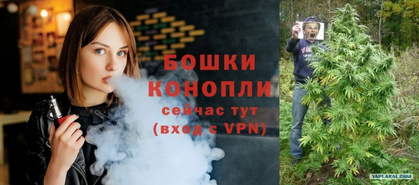 шишки Вязники