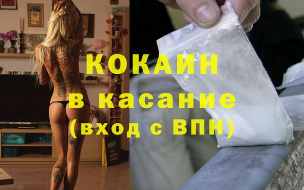шишки Вязники