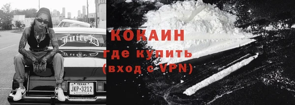 шишки Вязьма