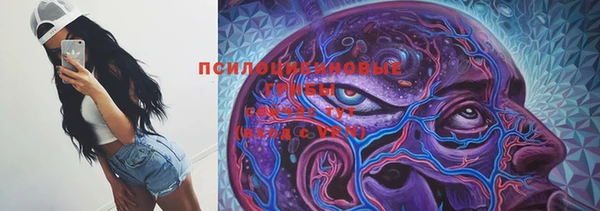герыч Вяземский