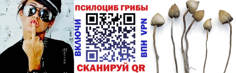 Псилоцибиновые грибы Magic Shrooms Давлеканово